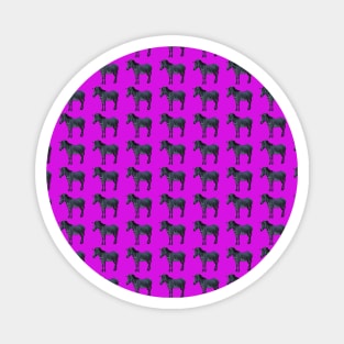 PINK ZEBRA Patterns Magnet